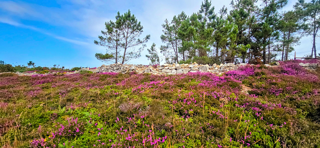 Sentier des Douaniers