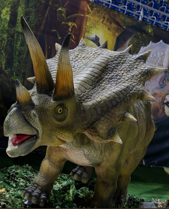 Musée Ephémère Dinosaures