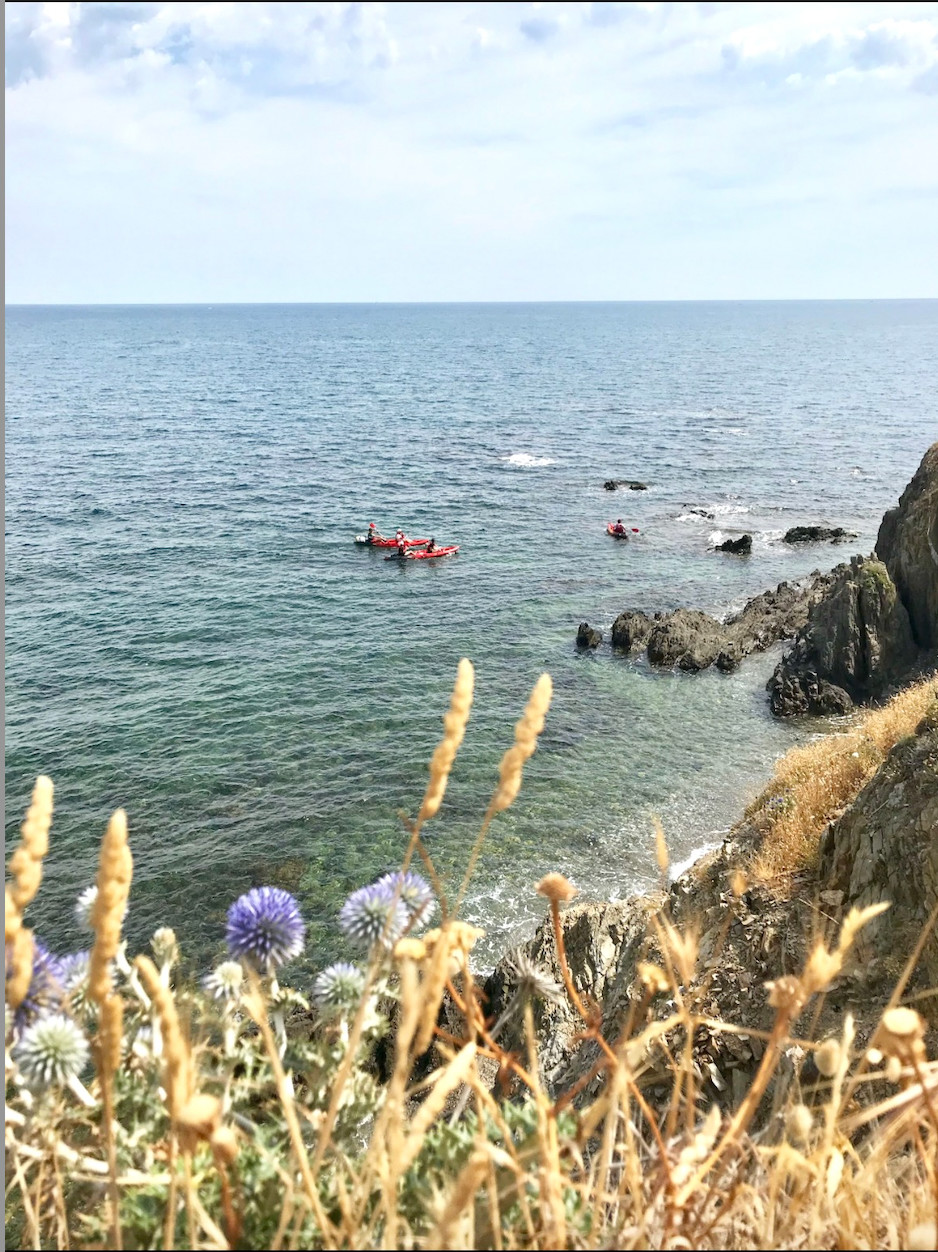 Argeles-sur-Mer tourisme, plage du Racou