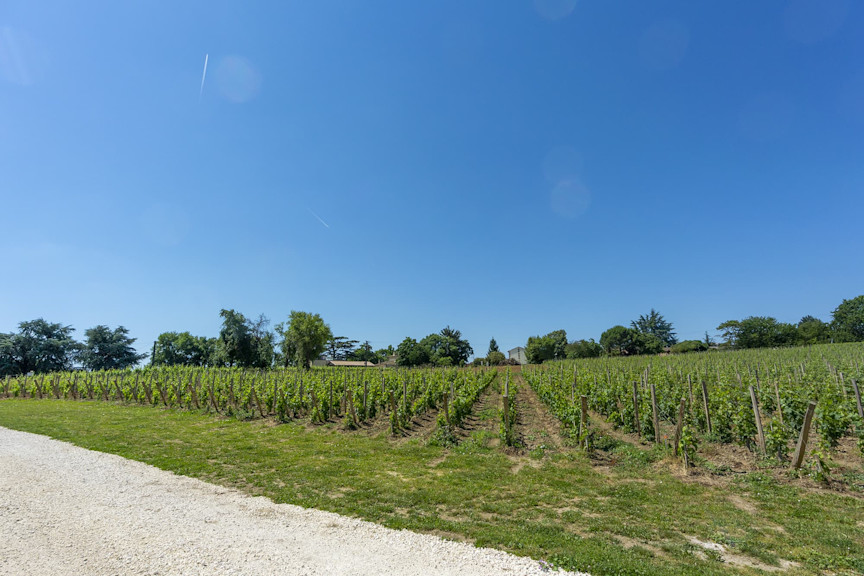Holiday home, Sarlat-la-Canéda, Pure France