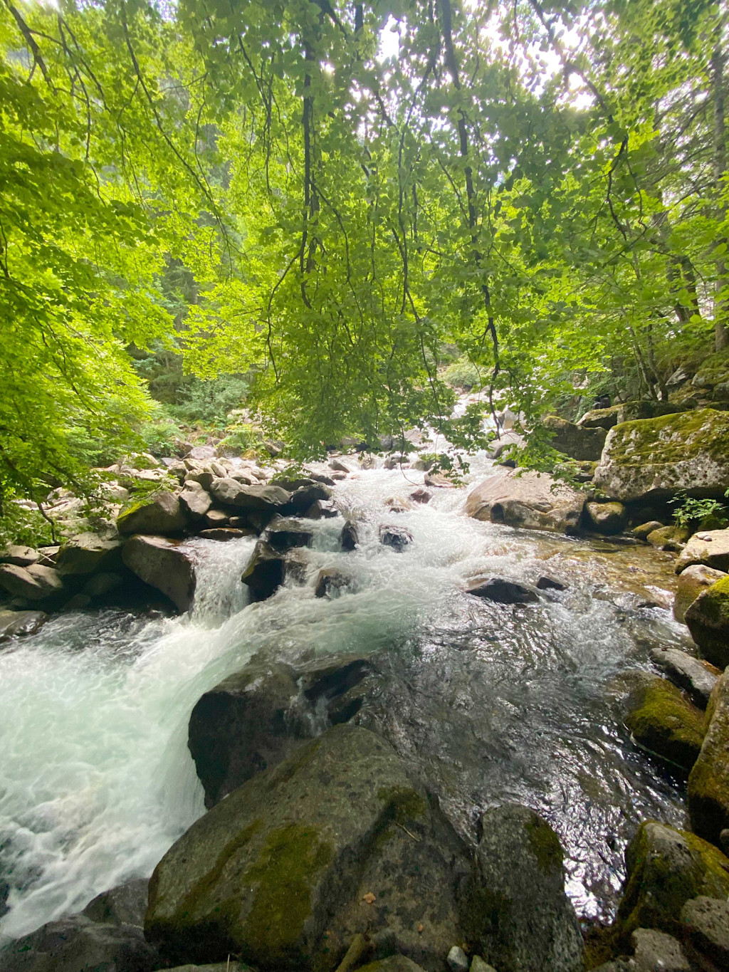 Pont d'Espagne Hautes Pyrénées