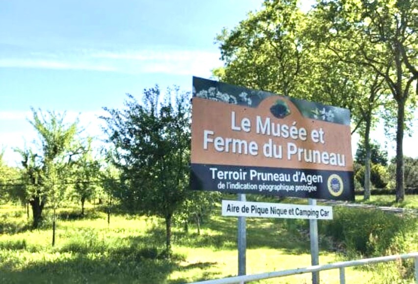 Les Pruneaux d'Agen dénoyautés 500g I Maître Prunille