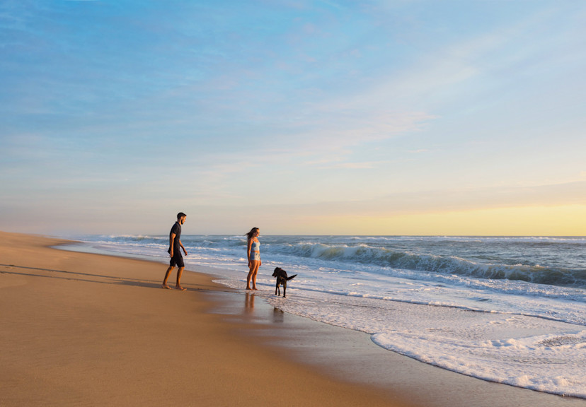 The Best Dog-Friendly Holidays in France