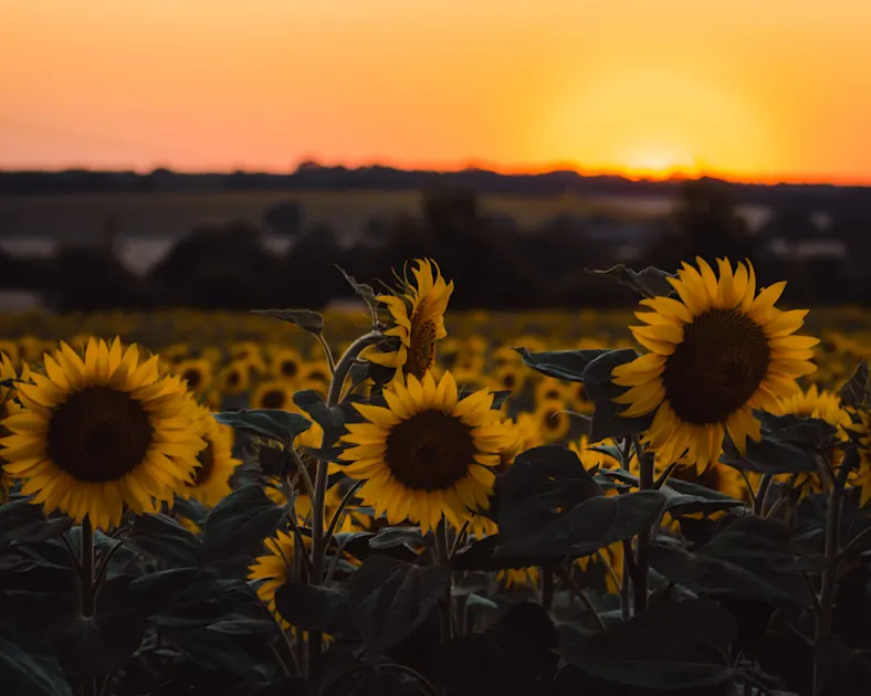 Spring and Autumn Holidays in France: Why They're Underrated