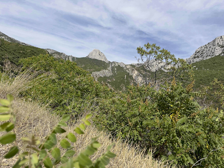 Massif de la Sainte Baume 