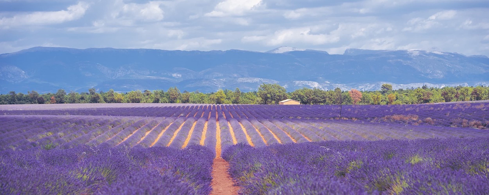 Guide to the most beautiful French cycle paths
