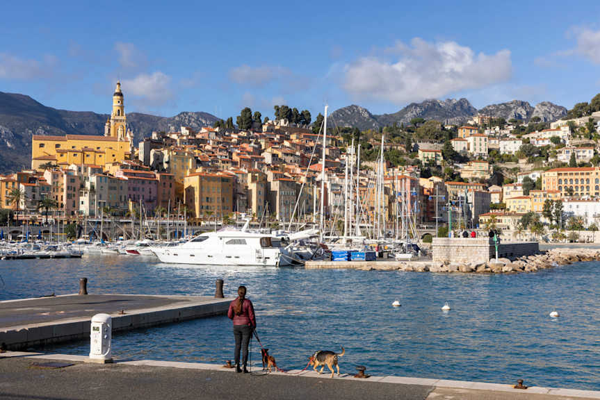Why France works so well for dog-friendly holidays
