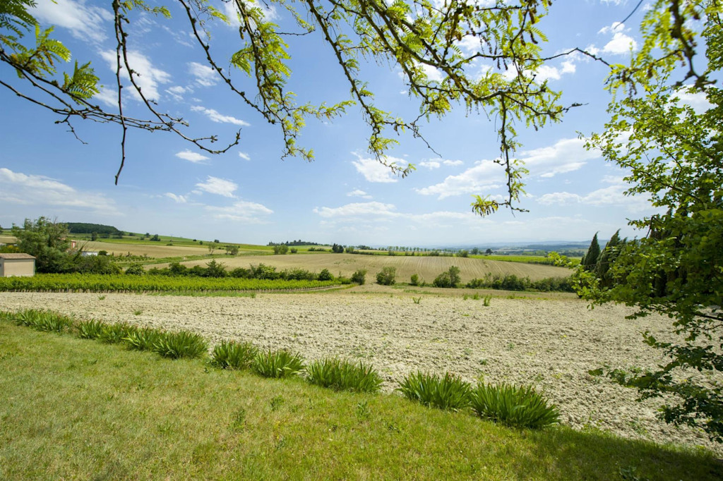 A Breath of Fresh Air: Embracing Nature and Tradition in the French Countryside - The Allure of French Countryside