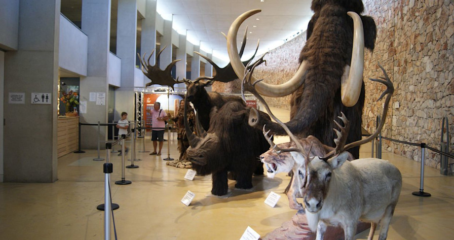 Articles from Hugh Atkins Pure France