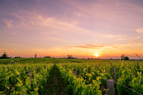 France wine regions
