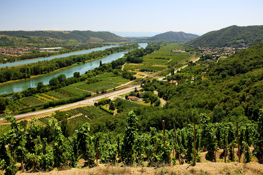 Vignobles surplombant le Rhône dans la vallée du Rhône en France