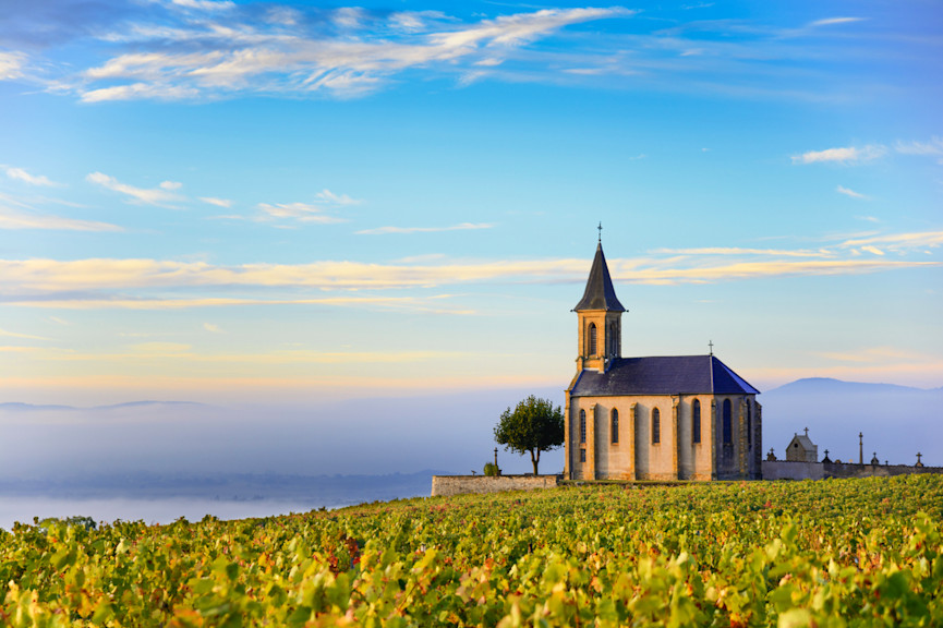Tour de France Burgundy