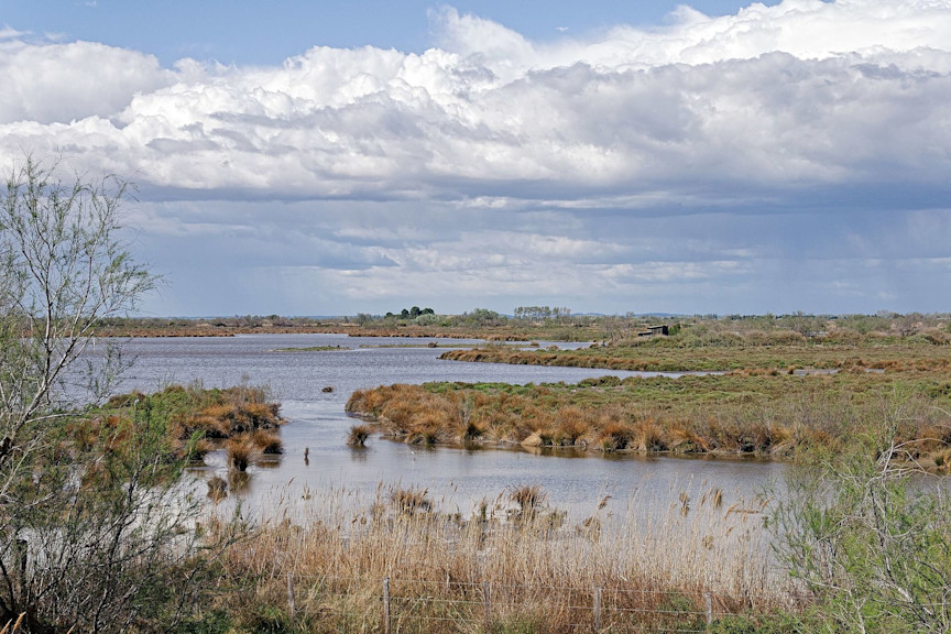 © Dkiechle — Travail personnel, CC BY-SA 4.0, https://commons.wikimedia.org/w/index.php?curid=48961668