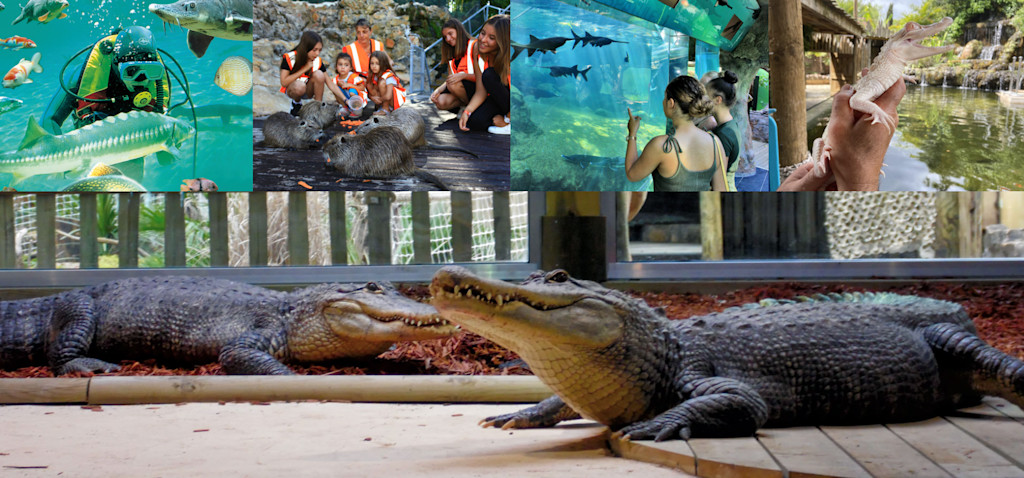 Aquarium du Périgord Noir