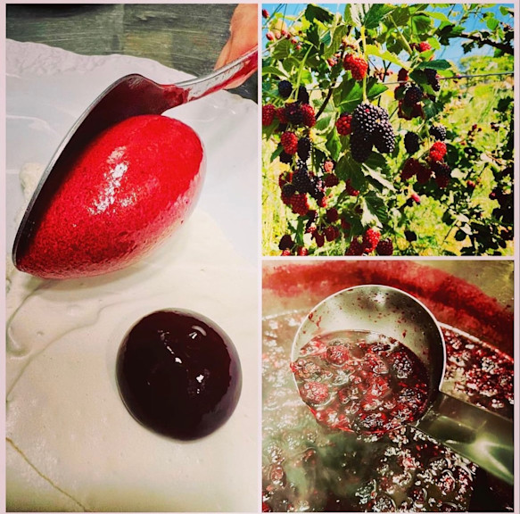 La Galinette Perpignan