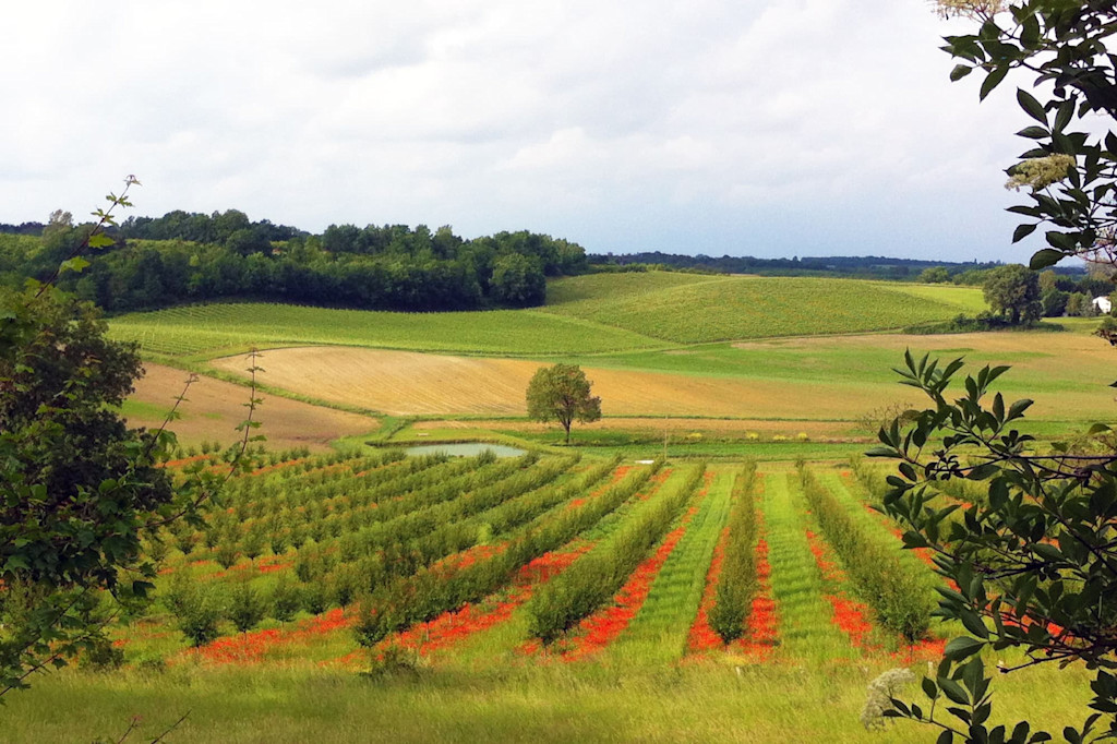 Vue sur la campagne dans le sud ouest de la France