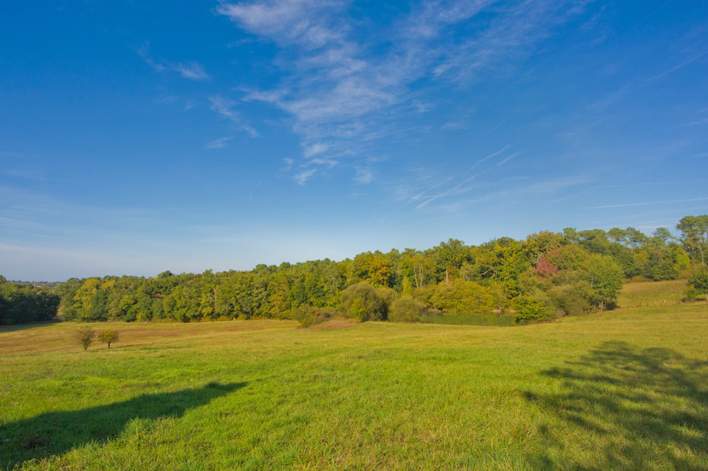 Jardin avec vue sur la campagne 