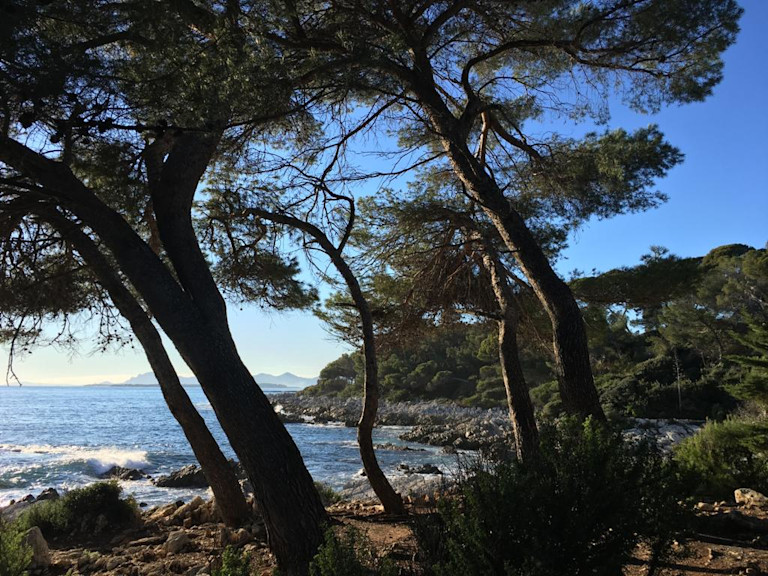 © Mademoiselle Suzanne Leonard