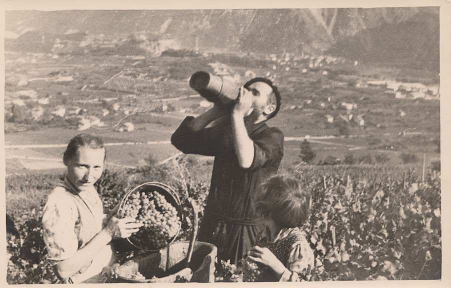 Old-fashioned harvest