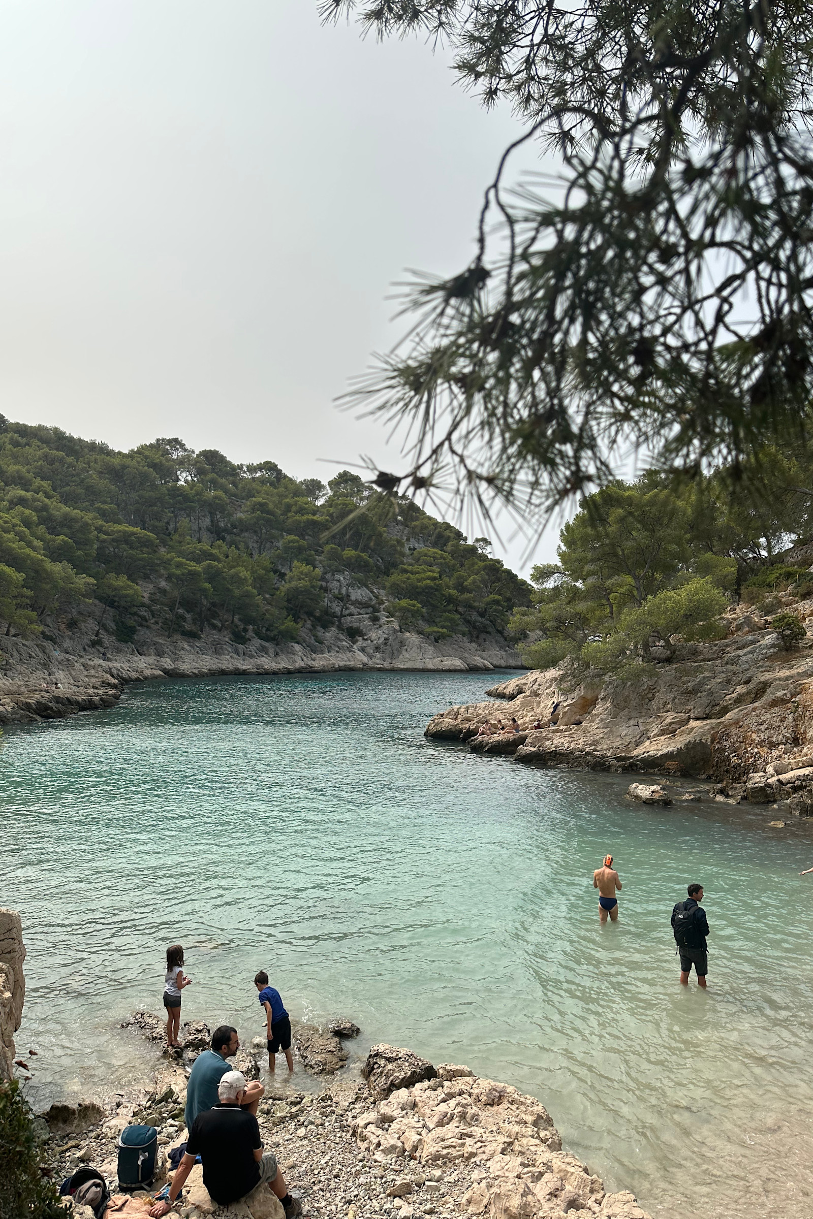Les calanques de marseille en vau port pin et port miou Les calanques de marseille en vau port pin et port miou