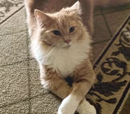 2023-WPN-sir-catrick-stewart