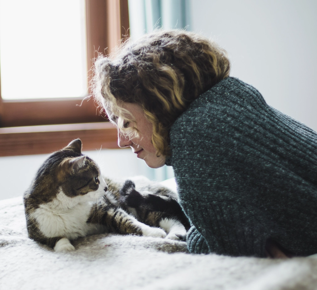 Cat snuggling with pet parent