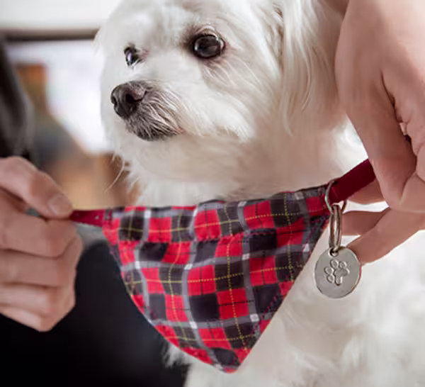 Dog with id