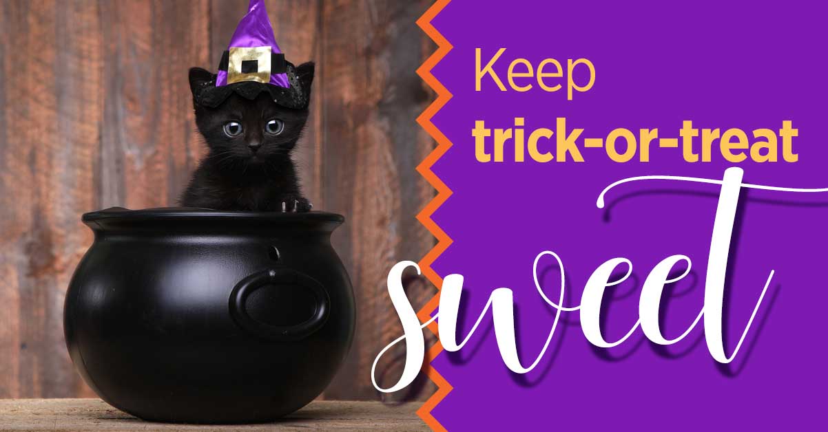 Treats October 2019