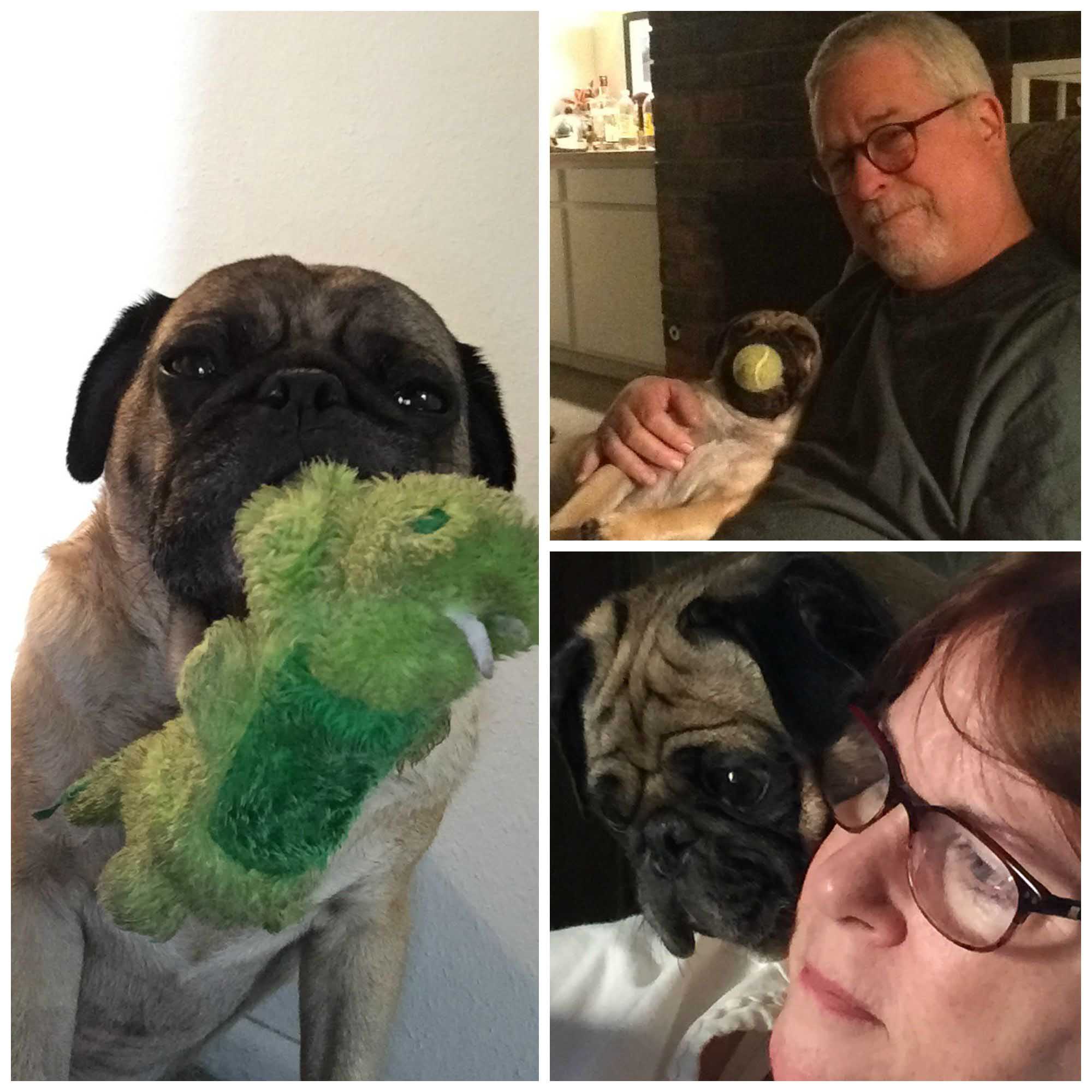 sam-collage-family