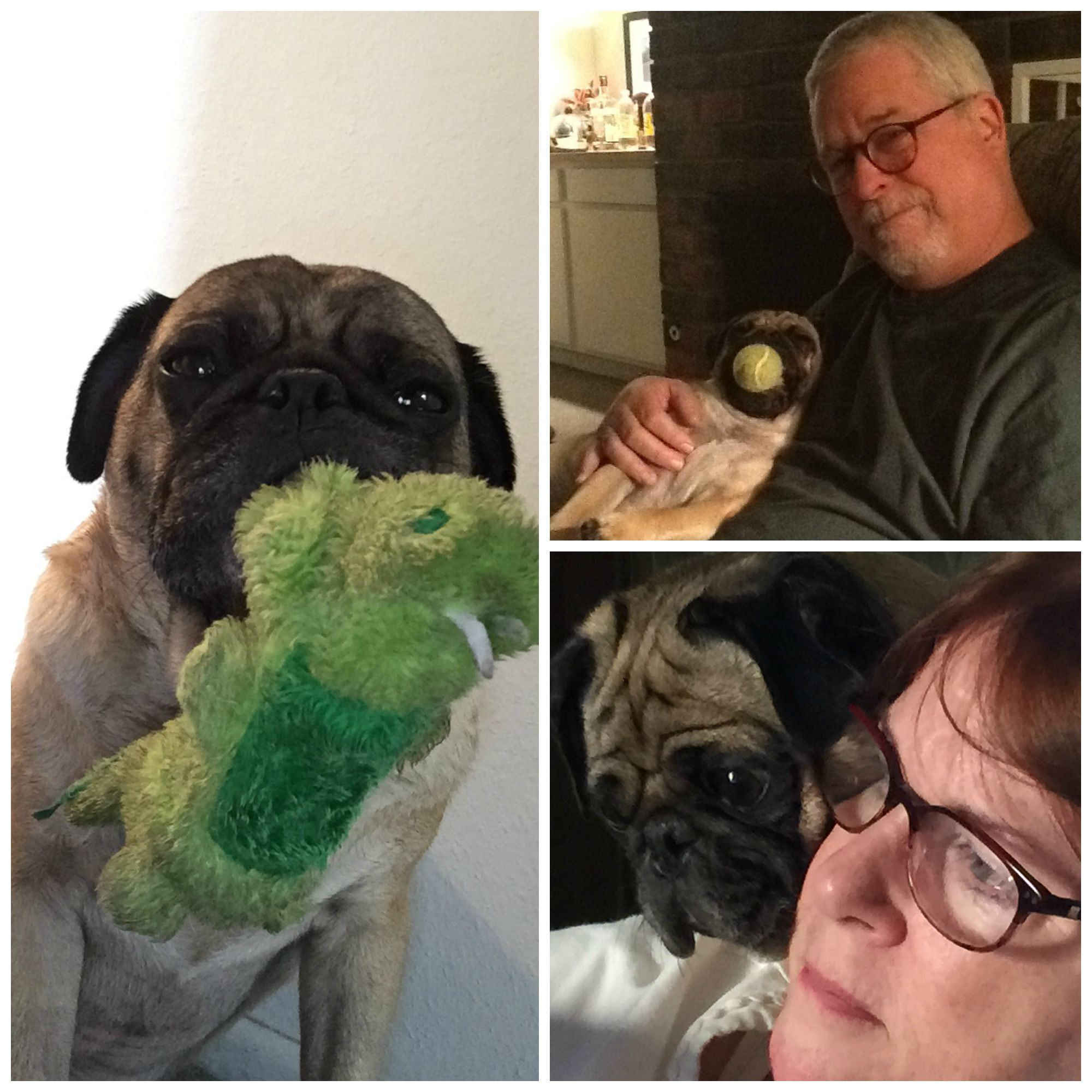 sam-collage-family