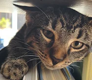 2023-WPN-sir-woodrow-agustus-scuttlebooty-the-third-esquire