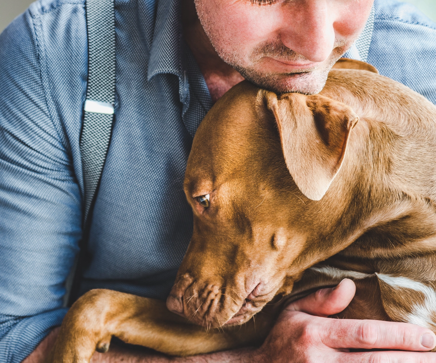 Illness coverage - Pet parent hugging dog