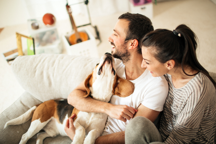 Male Dog Names | Pet Health Insurance & Tips
