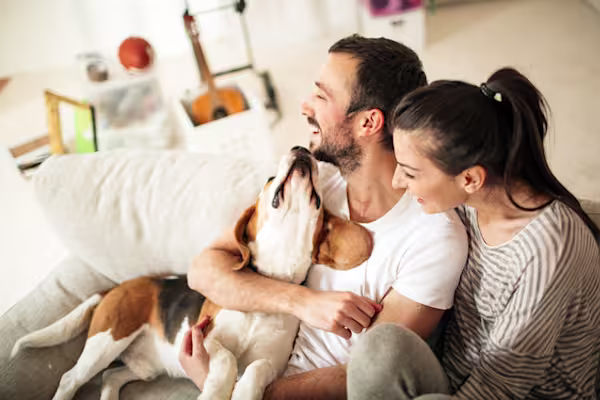 100 best male dog names for your very good boy
