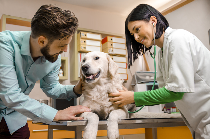  Treatment Options for Pet Cancer