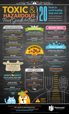 Food Hazards infographic