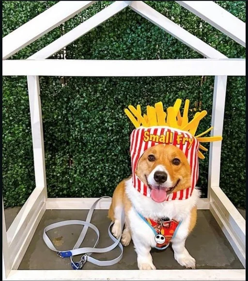 Winner 3 bamboo.theloaf