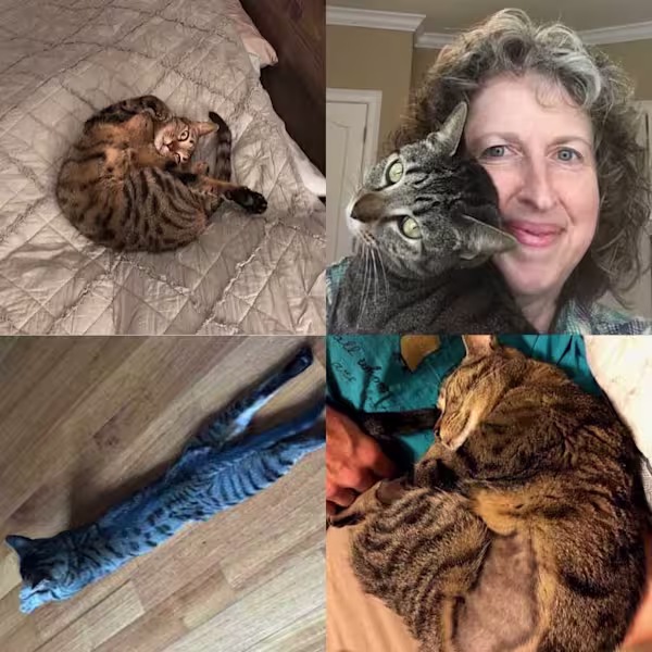 Minnow-Photo-Collage-1