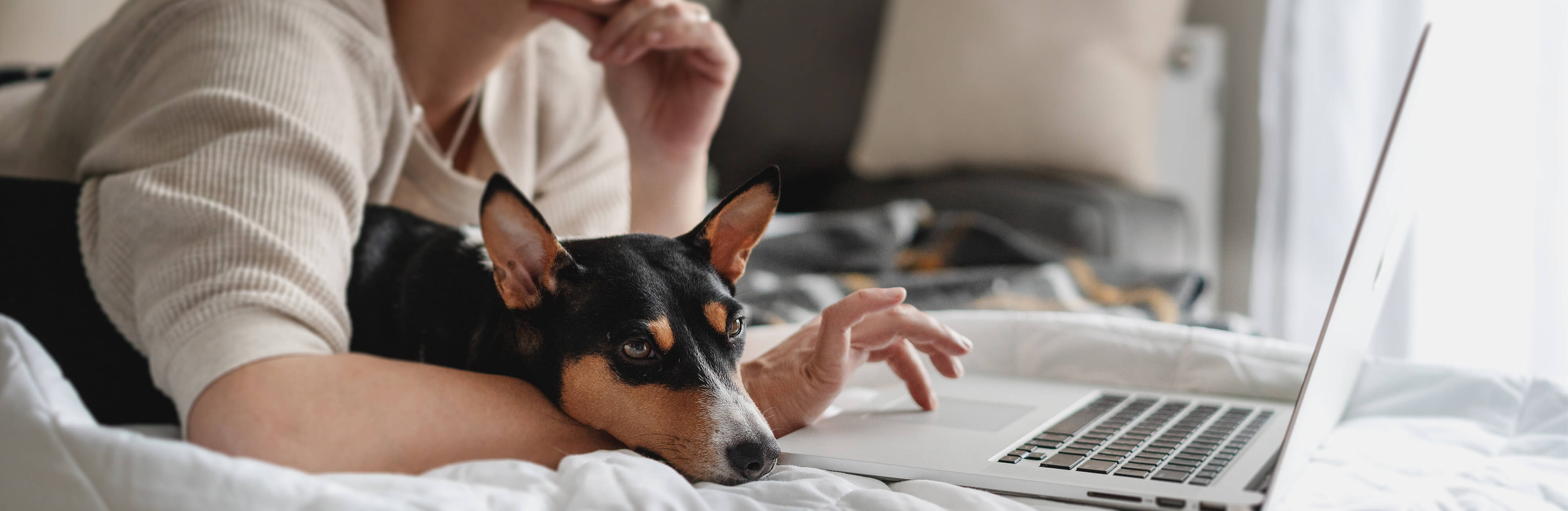 After hour experts on summer bummers