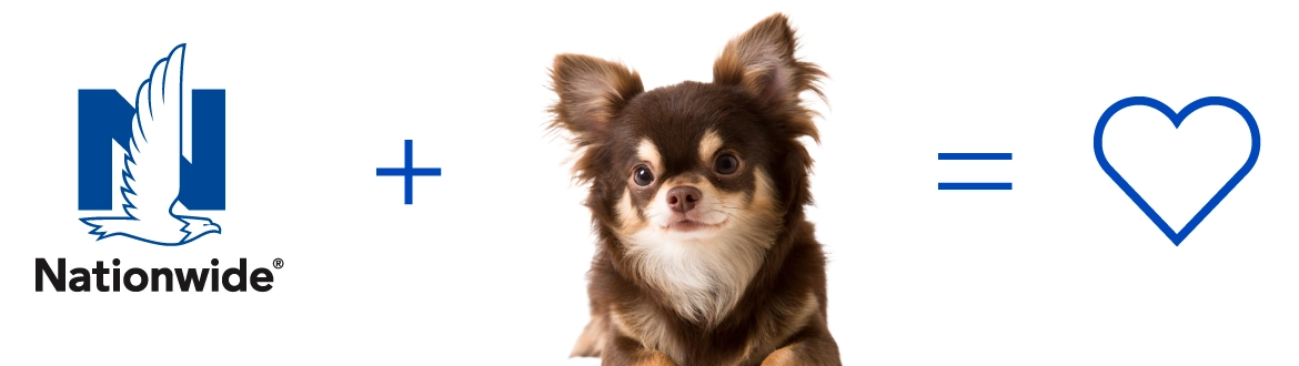 Nationwide loves Chihuahuas