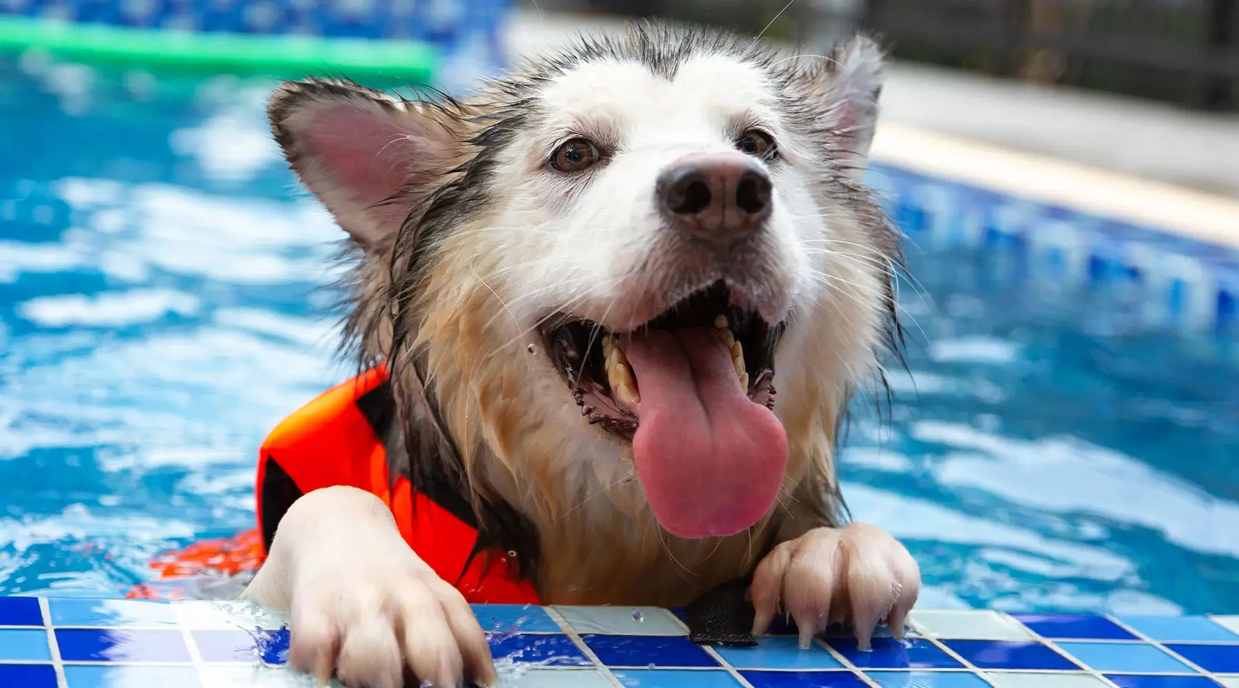 Summer WaterSafety Thumb1