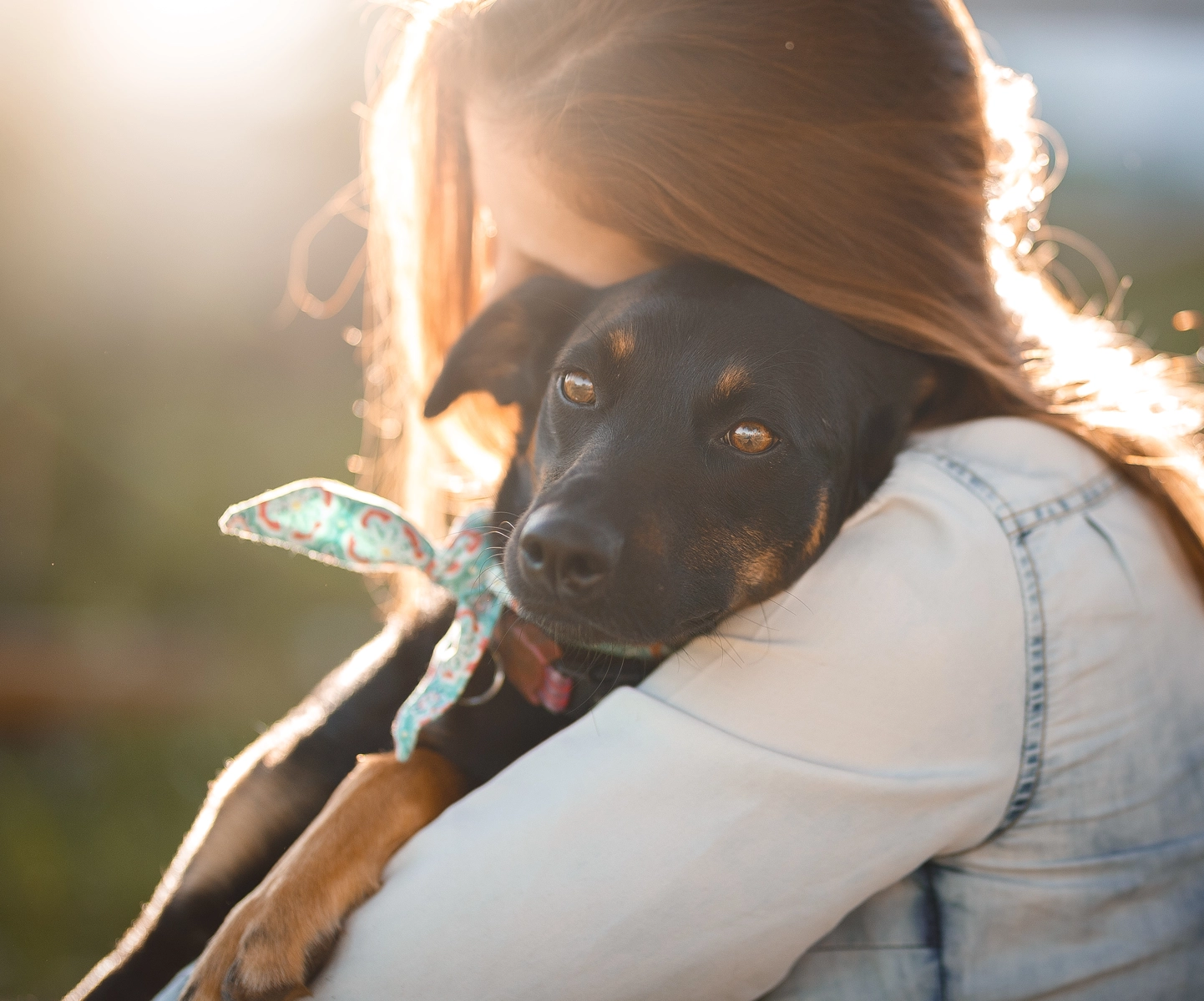 Accident coverage - Pet parent hugging dog