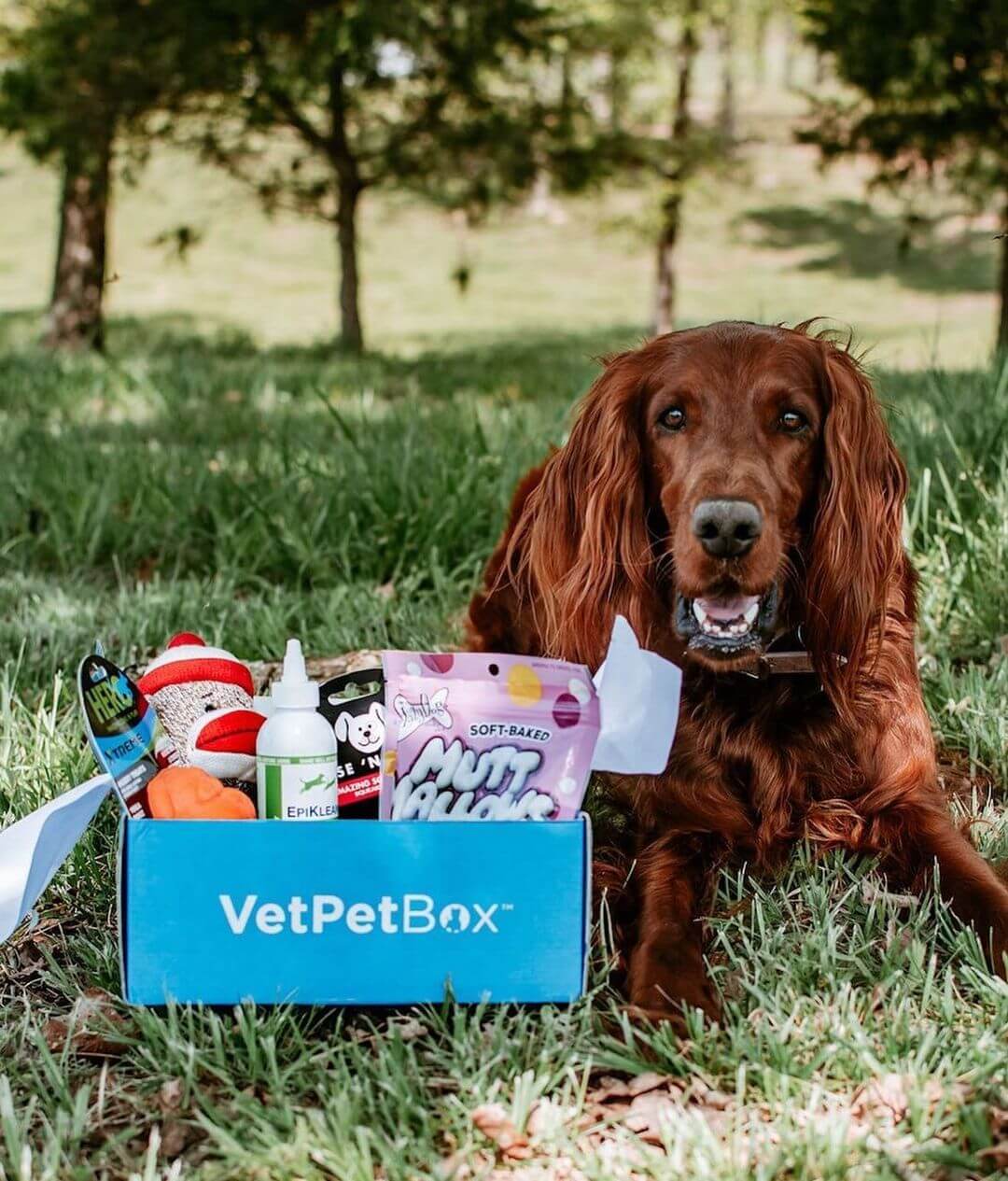 A new perk your pup will love