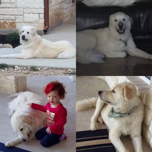 Max-Photo-Collage-2