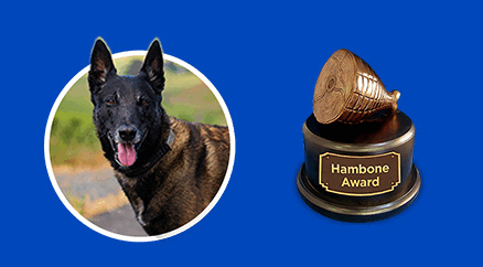 2025 Hambone Award - nominees images