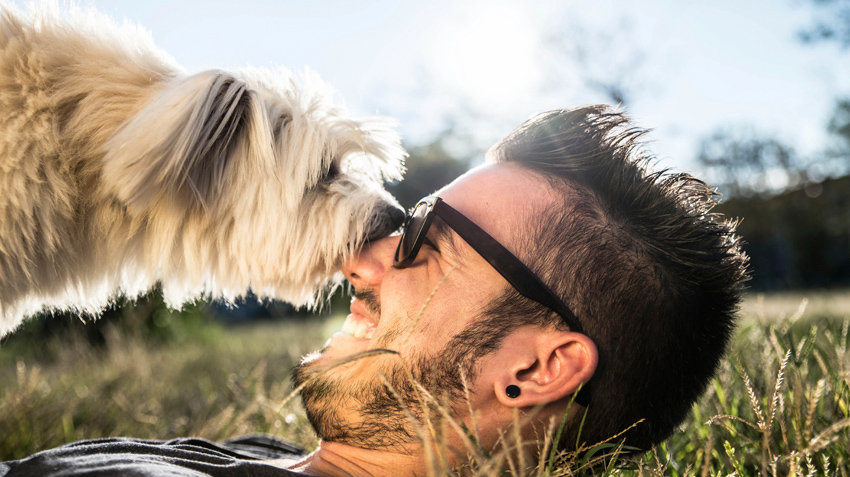 5 Ways to Show Pets Appreciation