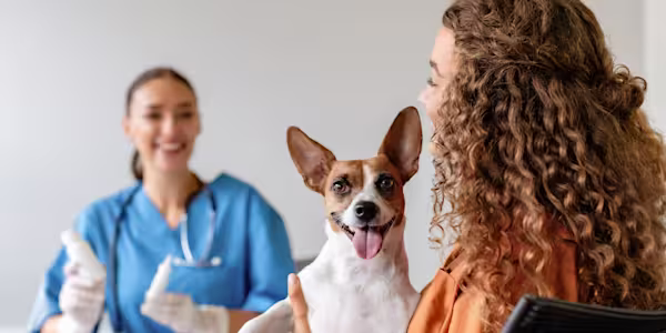 Understanding pre-existing conditions in pet insurance