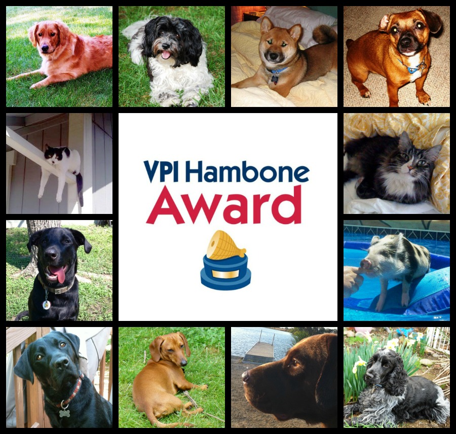 VPI-Hambone-Award-Nominees