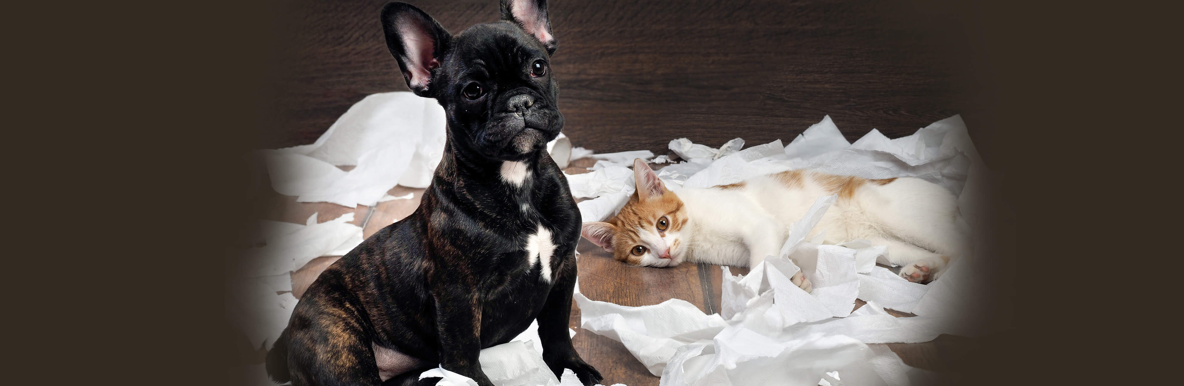 Pet growing pains