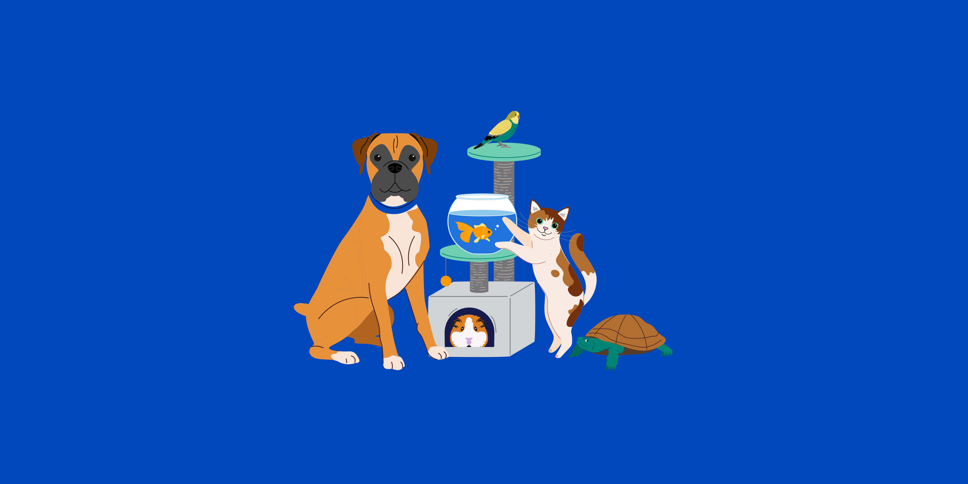 Get rewards when you help protect pets